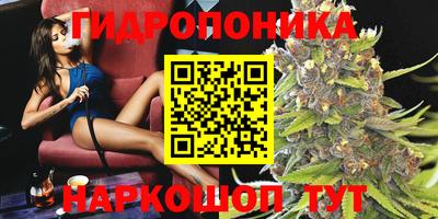 стаф Чебаркуль