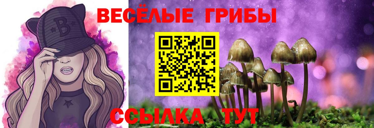 Галлюциногенные грибы Psilocybine cubensis Заводоуковск